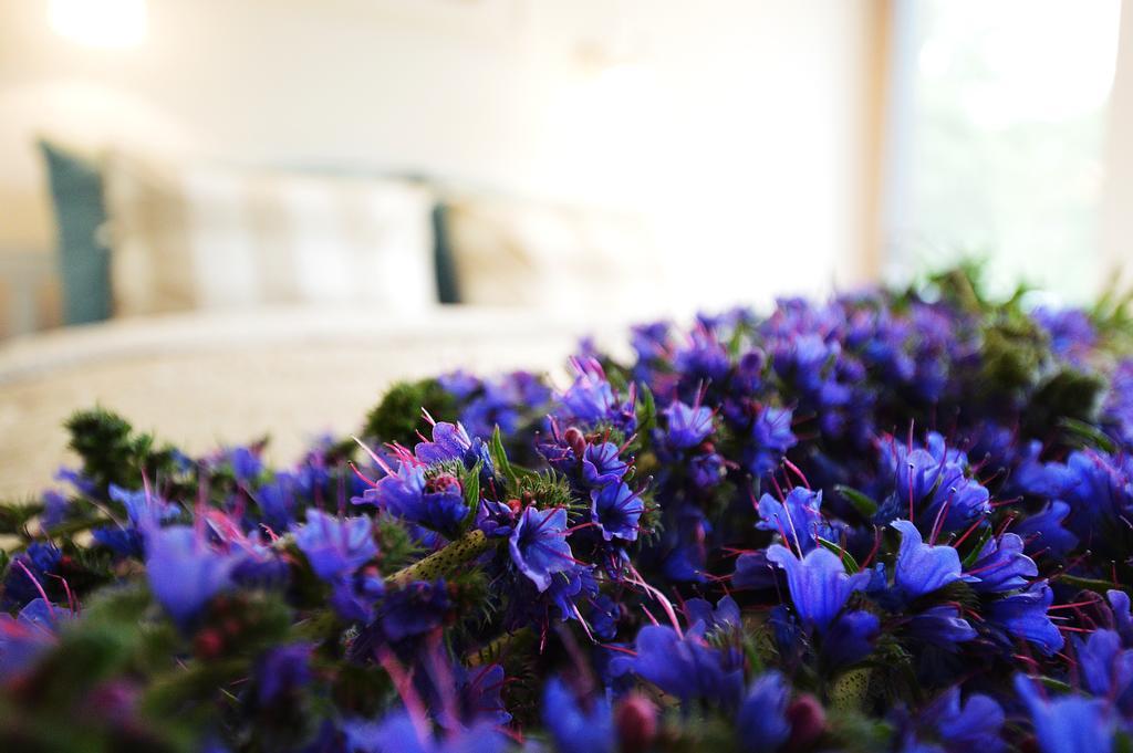 Smelynas Neringa Apartments Preila Dış mekan fotoğraf